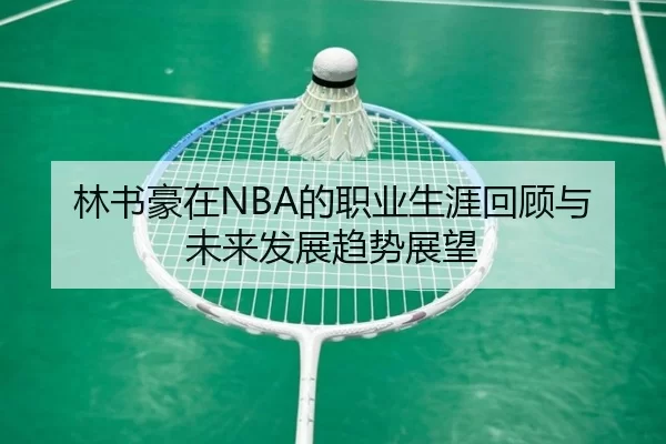 林书豪在NBA的职业生涯回顾与未来发展趋势展望